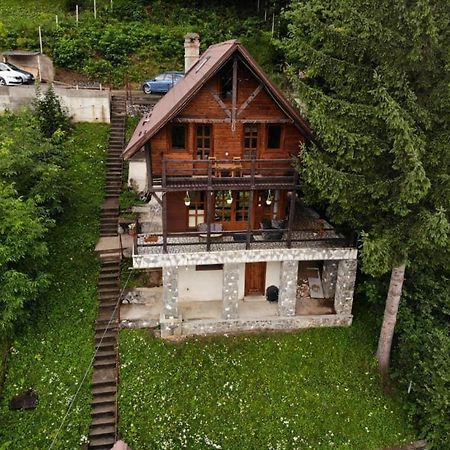 Florile Bucegilor Villa Sinaia Exteriör bild