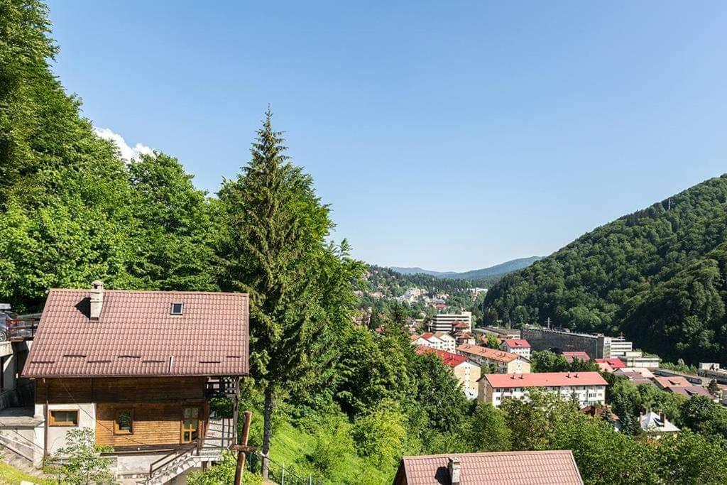 Florile Bucegilor Villa Sinaia Exteriör bild