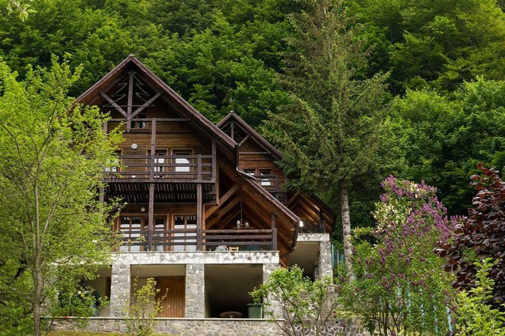 Florile Bucegilor Villa Sinaia Exteriör bild