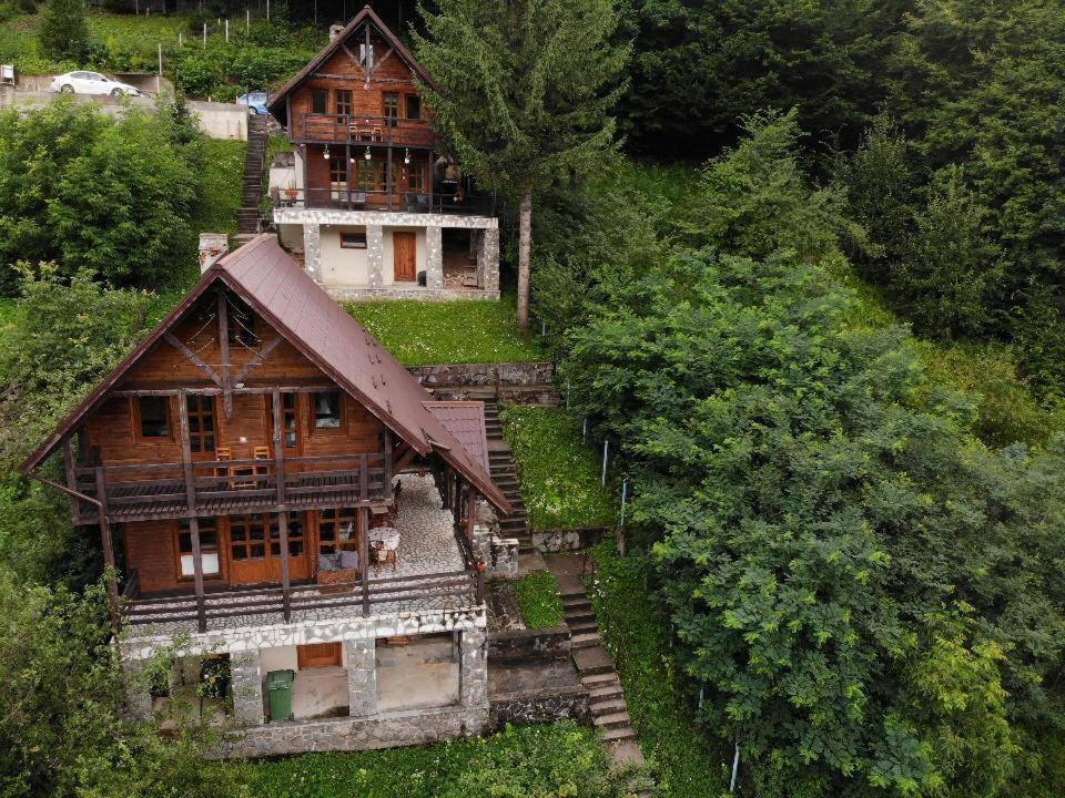 Florile Bucegilor Villa Sinaia Exteriör bild