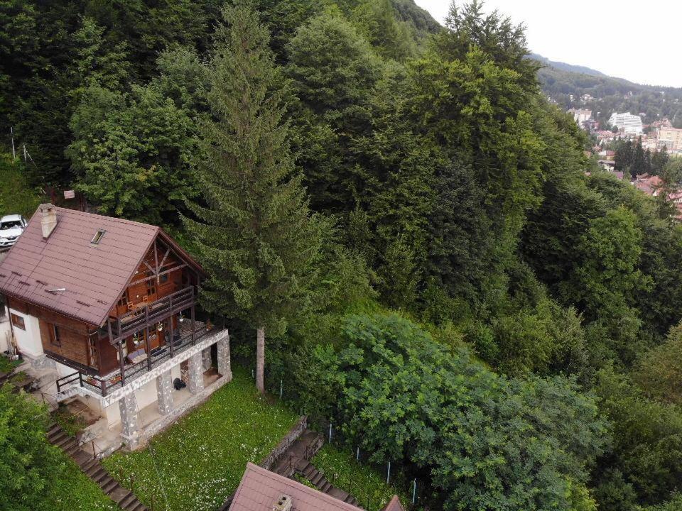 Florile Bucegilor Villa Sinaia Exteriör bild